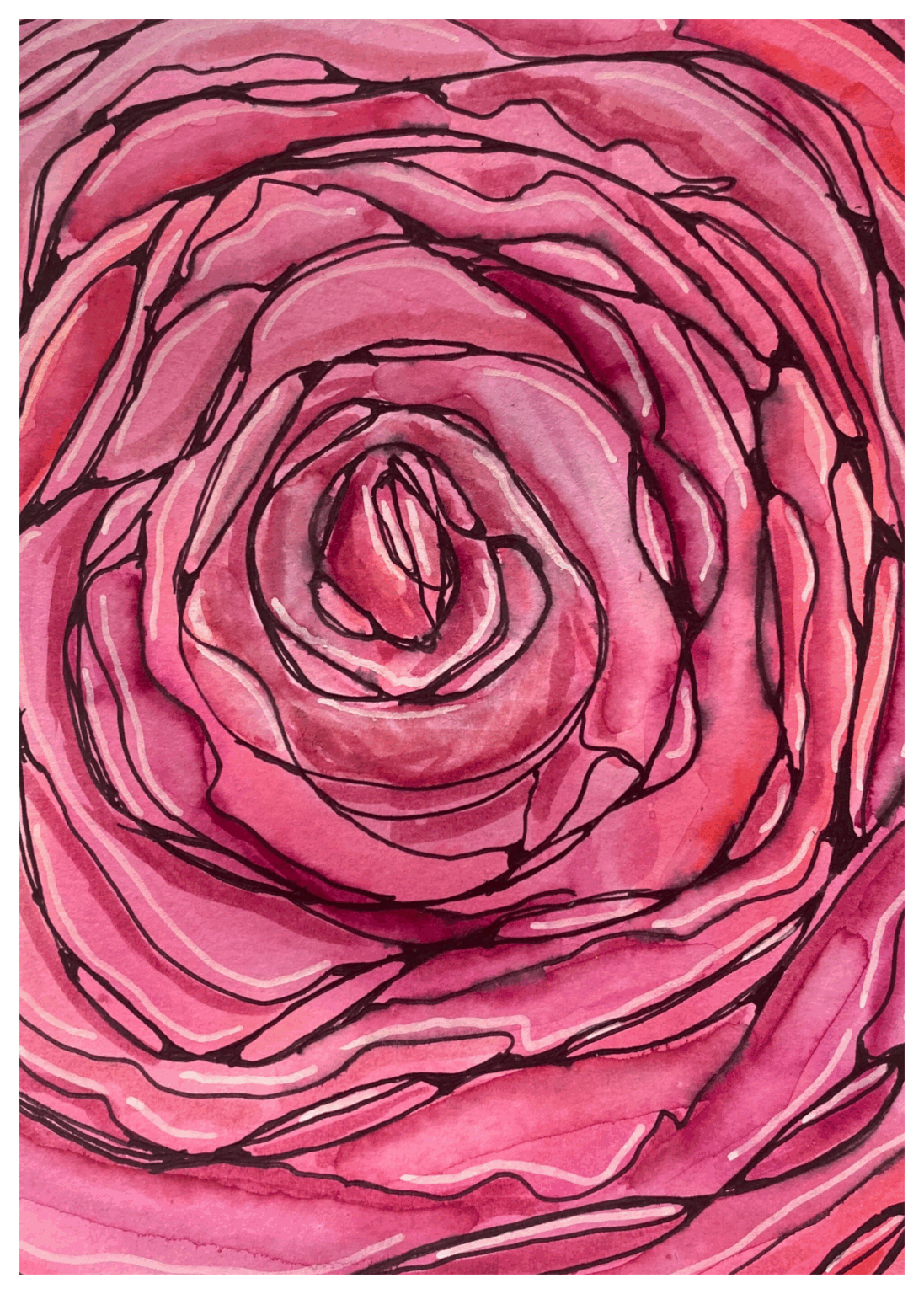 Pink Rose